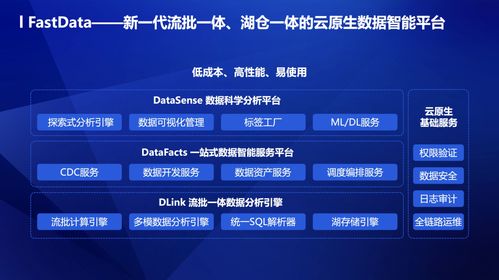 滴普科技 聚焦高數(shù)據(jù)密度場(chǎng)景，以數(shù)據(jù)處理服務(wù)驅(qū)動(dòng)產(chǎn)業(yè)數(shù)字化轉(zhuǎn)型